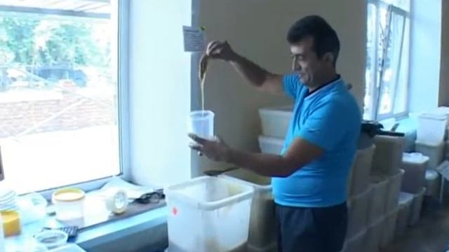 Пасека Кучаевых приглашает на распродажу меда смотреть онлайн