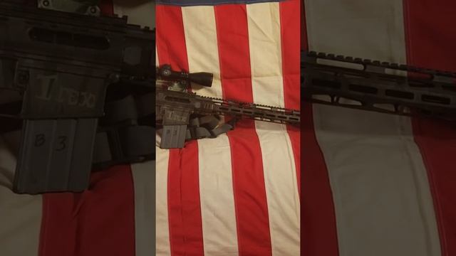 T rex, dpms LR308 REBUILD смотреть онлайн