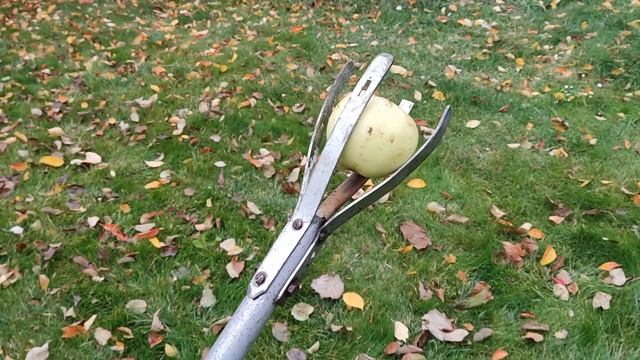 Съемник для яблок и груш своими руками смотреть онлайн