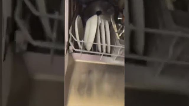 Порошок для посудомоечной машины #greenwayglobal смотреть онлайн