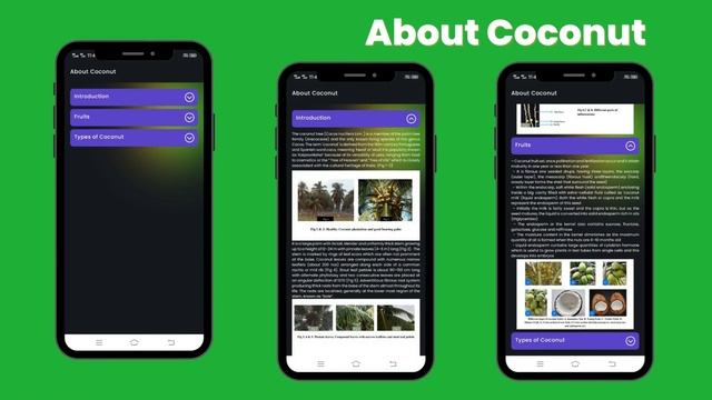 Coconut Expert System | Coconut Disease Detection with Pests Detection | FINAL YEAR PROJECT смотреть онлайн