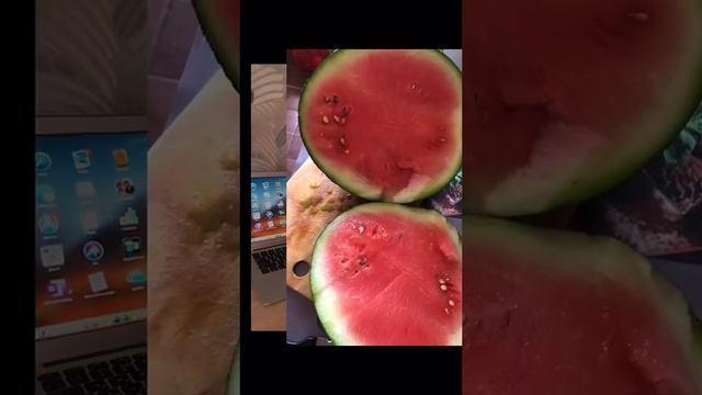 Вот такой крыжовник ?️ я вырастил нынче в Речкина под Столицей Сибири смотреть онлайн