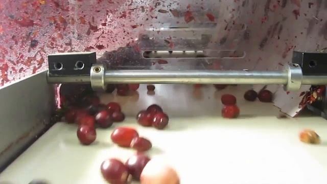 Клюква - сортировка смотреть онлайн