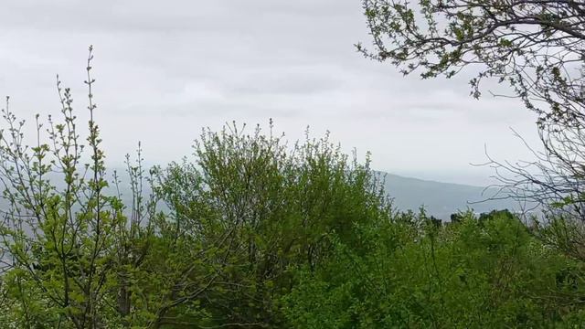 Вид с Машук на Бештау и другие горы смотреть онлайн