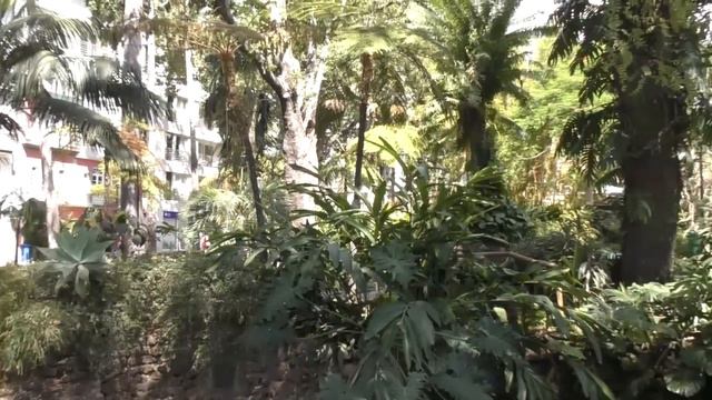 Израиль. Русские жены для израильских лохов.(Отвечаю на вопросы) смотреть онлайн