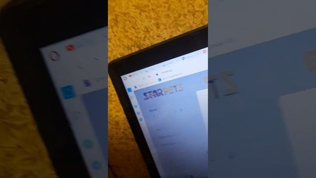 бесплатные петы в адопт ми star pets.gg смотреть онлайн
