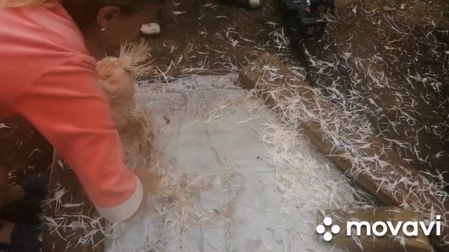 Самодельная перосъёмная насадка для птицы. смотреть онлайн