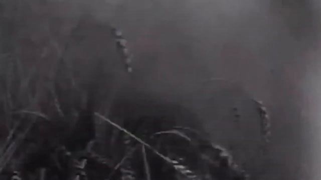 История жива пока живет память смотреть онлайн