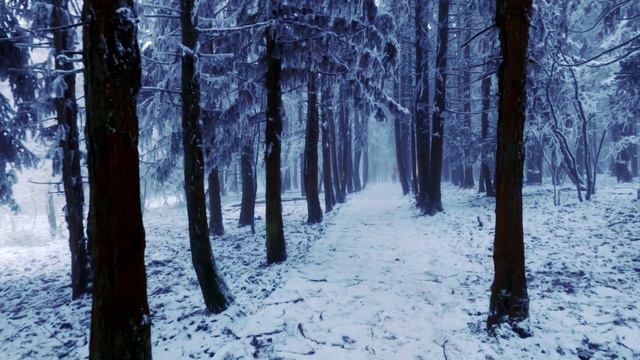 Chongqing Walk 仙女山雪地遇狗 Fairy Mountain Snow | China Asmr Built Environment Field Recording 城市散步本地遊天氣 смотреть онлайн