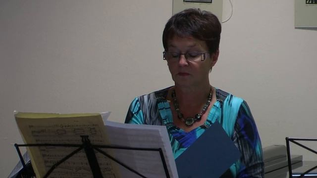 Franz Schubert - Schlafe, schlafe смотреть онлайн