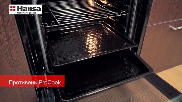 Обзор на духовой шкаф Hansa BOEI64030030