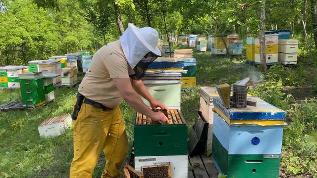 Последняя работа перед акацией…. смотреть онлайн