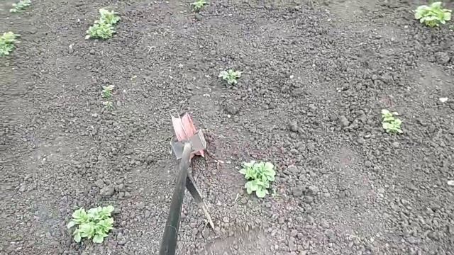 Ручной пропольник междурядьев. Тяпка с колесом. смотреть онлайн