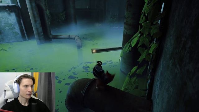 🔴 STRAY - ФИНАЛ | Достижение "Скорокот" (СТРИМ) #ps5 смотреть онлайн