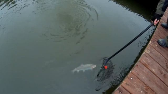 Мастер - класс на учебно-тренировочном пруду. смотреть онлайн