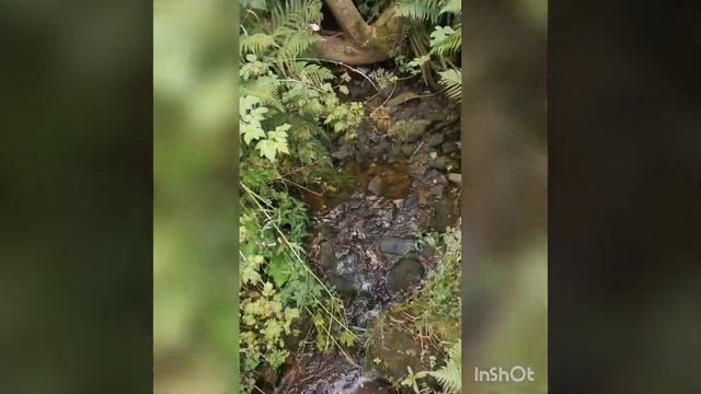 По пути в Peak District. смотреть онлайн