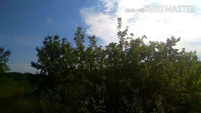 Просто я люблю природу!. Беково. смотреть онлайн