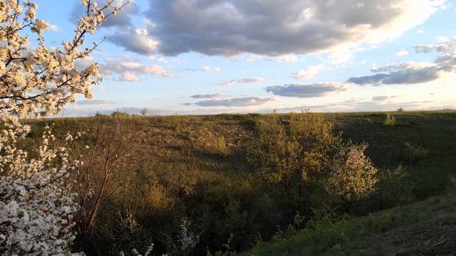 РОСТОВСКАЯ ОБЛАСТЬ / МИЛЛЕРОВСКИЙ РАЙОН / ПРИРОДА смотреть онлайн