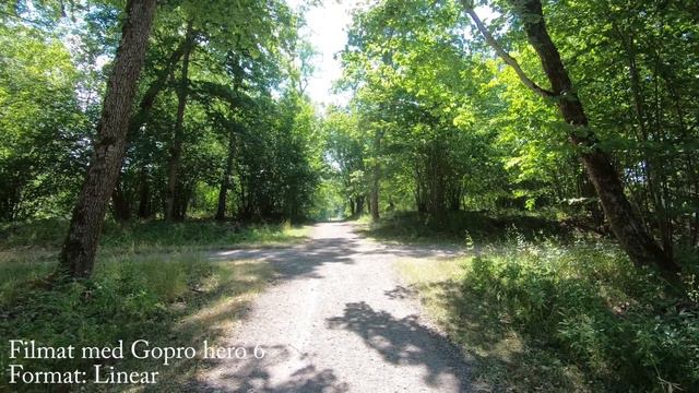 Gopro hero 6 intern mikrofon vs. Røde videomicro | Wide, superview & linear mode смотреть онлайн