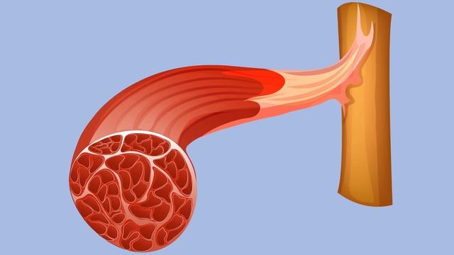 An Athlete Squatted 500 Reps In 20 Minutes. This Is What Happened To His Kidneys. смотреть онлайн