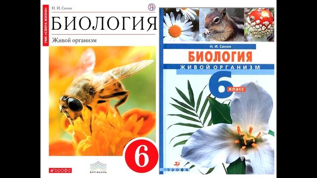 § 8 Организм как единое целое смотреть онлайн