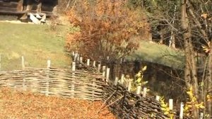 ОЙ НА ГОРІ ДВА ДУБКИ КАРАОКЕ (мінус)