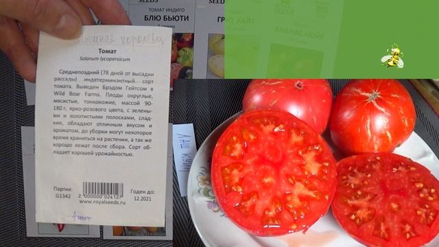 Американские сортовые томаты на 2022 год / как росли, какие на вкус American varietal tomatoes смотреть онлайн