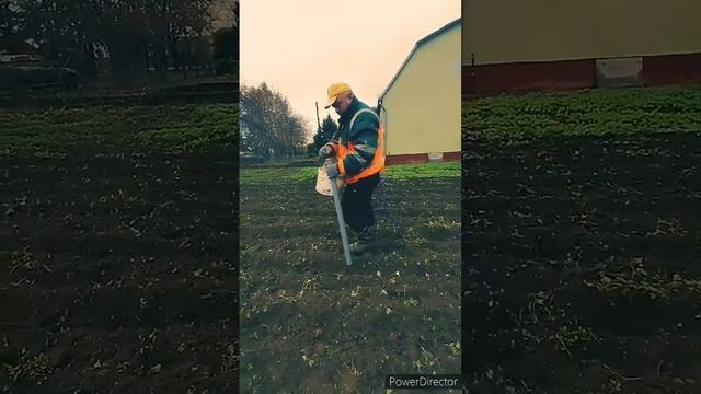 садим чеснок смотреть онлайн