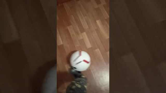 Обзор на футбольный мяч PUMA смотреть онлайн