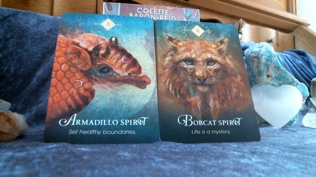♥ Oracle of The Day ♦ Witch Energies Can We Tab Into For Our Highest Good Today ♥ 02.08.2021 смотреть онлайн