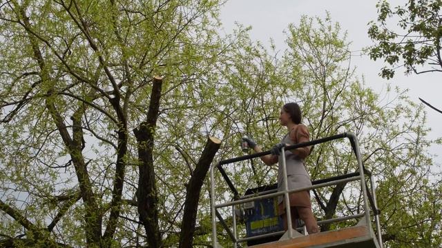 Садовый вар KUDO - Средство для обработки срезов и заживления ран плодовых и декоративных деревьев