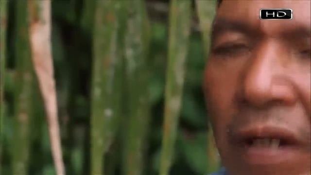 Самая большая змея планеты - Анаконда смотреть онлайн