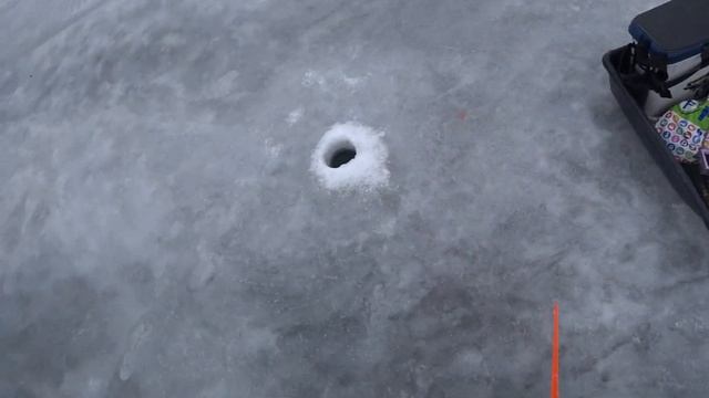 Рыбалка с эхолотом Deeper Chirp+ зимой смотреть онлайн