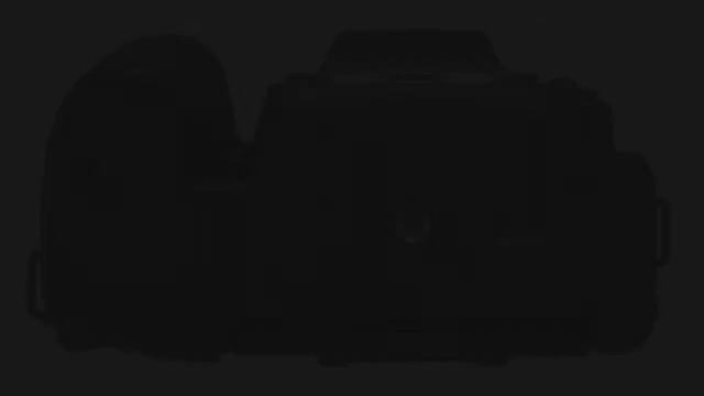 Nikon D7500 DX Format Digital SLR Camera смотреть онлайн