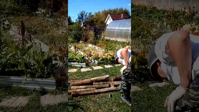 И купил я адаптер КТЗ часть 3 смотреть онлайн