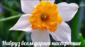 Навруз Муборак азиз Ватандошлар!!!