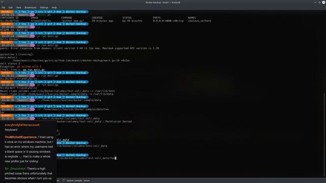 docker-backup Live Hacking in Go #01 смотреть онлайн
