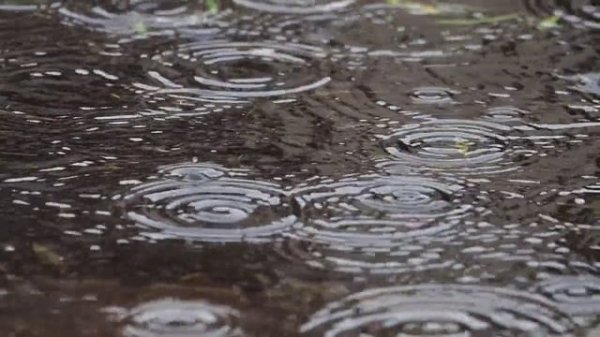 Звук природы Дождь | Отдых