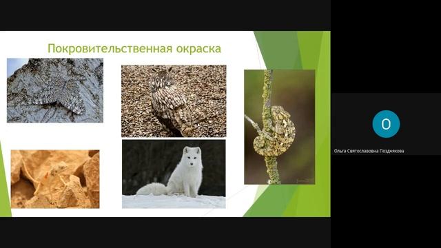 Результаты эволюции смотреть онлайн