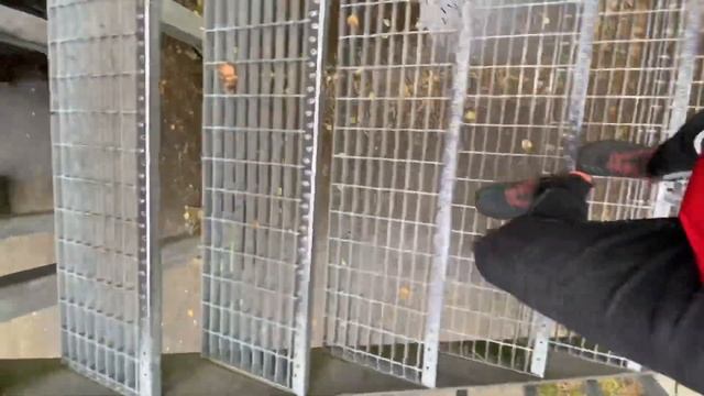 Поездка в Ригу и Юрмалу? Первый раз увидел Море ? смотреть онлайн
