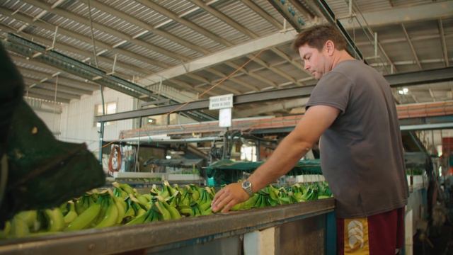 Luna® Privilege Fungicide - Improves Disease Control for Bananas - 3:20 смотреть онлайн