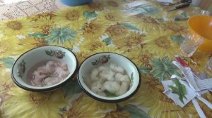 Подготовка семян помидоров и перцев для посева на рассаду (обеззараживание и закаливание).