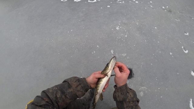 Рыбалка на жерлицы.Отличный клёв. смотреть онлайн