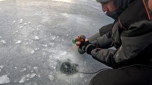 ЗАЛИВ СОСНЫ! ??? Такой раздачи по гирлянде давно не было. Рыбалка на гирлянду.  Ловля крупной плотв