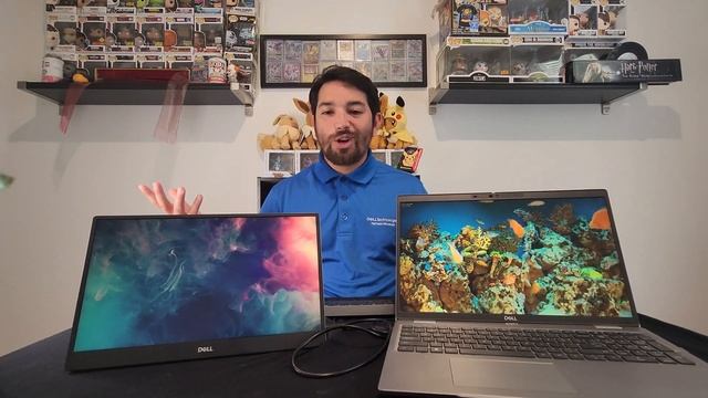 Dell 14" Portable Monitor смотреть онлайн