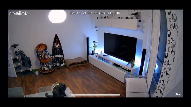 BLACK DEAL: 360 OUTDOOR CAM FÜR ALEXA!! смотреть онлайн