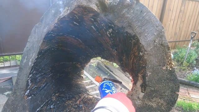 Пень колода цветочный смотреть онлайн