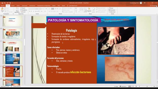 Larvas migrantes смотреть онлайн