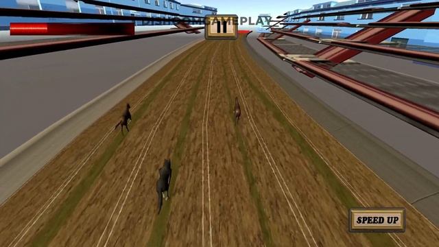 Crazy Real Dog Race Greyhound Racing Game Gameplay Android #1 Dishoomgameplay смотреть онлайн
