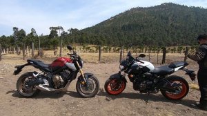 YAMAHA MT - 07 VS HONDA CB 650 R - BLITZ RIDER